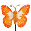 Floristik24 Deko-Stecker Schmetterling Orange 6,5cm 24St