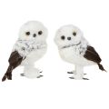 Floristik24 Schneeeule Deko Figur Eulen Paar Weiß Braun H12cm 2St