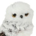 Schneeeule Deko Figur Eulen Paar Weiß Braun H12cm 2St | Floristik24.de