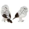 Schneeeule Deko Figur Eulen Paar Weiß Braun H12cm 2St | Floristik24.de