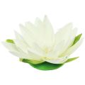 Floristik24 Seerose Künstliche Blume Schwimmende Tischdeko Cremeweiß Ø15cm