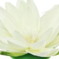 Floristik24 Seerose Künstliche Blume Schwimmende Tischdeko Cremeweiß Ø15cm