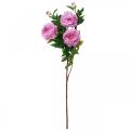 Seidenblume Pfingstrose künstlich Pink Violett 135cm