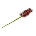 Floristik24 Seidenblumen Xanthium Bordeaux 64cm 4St