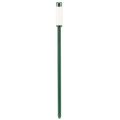 Seramis ® Gießanzeiger groß 26cm 2St | Floristik24.de