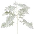 Floristik24 Künstlicher Senecio Zweig Silberblatt Greiskraut detailreich 45cm 3St