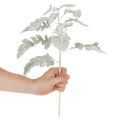 Künstlicher Senecio Zweig Silberblatt Greiskraut detailreich 45cm 3St | Floristik24.de