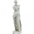 Floristik24 Venus Statue Deko-Skulptur H29cm Graubraun Dekofigur Garten