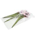 Floristik24 Sommerdeko Blüten als Stecker Rosa, Pink 32cm 6St