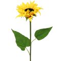 Floristik24 Langstielige Sonnenblume Gelb 53cm