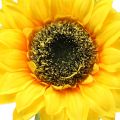 Sonnenblume künstlich für Dekoration Ø15cm