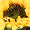Sonnenblume künstlich mit realistischen Blättern und Blüten 58cm 3St | Floristik24.de