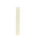 Floristik24 Stabkerzen durchgefärbt Creme 34mm x 240mm 4 St