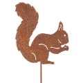 Floristik24 Gartenstecker Eichhörnchen Rost Dekostecker für Beet und Blumentopf 52cm 2St