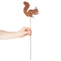 Gartenstecker Eichhörnchen Rost Dekostecker für Beet und Blumentopf 52cm 2St | Floristik24.de