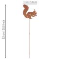 Gartenstecker Eichhörnchen Rost Dekostecker für Beet und Blumentopf 52cm 2St | Floristik24.de