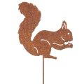 Gartenstecker Eichhörnchen