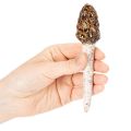 Künstlicher Morchel Pilz Deko Stecker für Pflanztöpfe und Tisch 13cm 2St | Floristik24.de