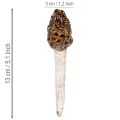 Künstlicher Morchel Pilz Deko Stecker für Pflanztöpfe und Tisch 13cm 2St | Floristik24.de
