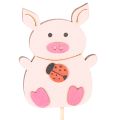 Dekostecker Schweinchen