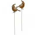 Floristik24 Gartenstecker Vogel mit Mütze Edelrost Deko 12cm 6St