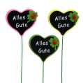 Floristik24 Stecker Herz mit Schrift "Alles Gute" 16St sort.