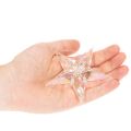 Dekoanhänger Stern Acryl irisierend klar Baumschmuck 9cm 6St | Floristik24.de
