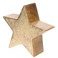 Deko Stern Weihnachten