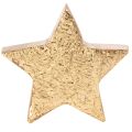 Deko Stern glänzend zur Tischdekoration 5cm 9St | Floristik24.de