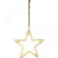 Floristik24 Weihnachtsanhänger, Sterndeko für den Advent, Dekostern Golden 14×14cm