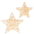 Floristik24 Deko Stern Set aus Draht zwei Größen 10cm 12St