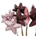 Sternenbündel mit Glitzer Rosa, Bordeaux 60cm 5St