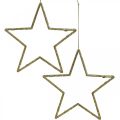 Floristik24 Weihnachtsdeko Stern Anhänger Golden Glitter 12cm 12St