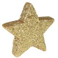 Streu-Sterne Hellgold Glimmer 4-5cm 40St | Floristik24.de
