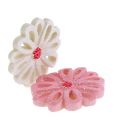 Floristik24 Streudeko Blumen 3cm Rosa, Creme 60St