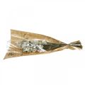 Floristik24 Acroclinium Weiß, Trockenpflanzen, Strohblumen, Trockenfloristik L20–40cm 25g