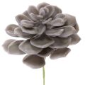Floristik24 Künstliche Sukkulente Wachs Wachsblumen Dekoration 10cm 6St