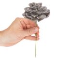 Künstliche Sukkulente Wachs Wachsblumen Dekoration 10cm 6St | Floristik24.de