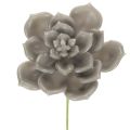 Floristik24 Künstliche Sukkulente Wachs Kunstpflanze mit Draht 8cm 8St