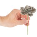 Künstliche Sukkulente Wachs Kunstpflanze mit Draht 8cm 8St | Floristik24.de