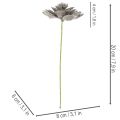 Künstliche Sukkulente Wachs Kunstpflanze mit Draht 8cm 8St | Floristik24.de