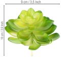 Kunstpflanze Sukkulente grün als Dekoration für Schale oder Vase 10cm 4 Stück | Floristik24.de