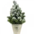 Mini Weihnachtsbaum im Topf Künstlich Beschneit Ø18cm H32cm