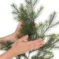 Deko Tannenzweig künstlich für kreative Floristik 175cm | Floristik24.de