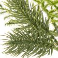 Künstlicher Tannenzweig für festliche Dekoration 22cm 2St | Floristik24.de