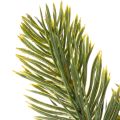 Künstlicher Tannenzweig grün für winterliche Dekorationen 25cm 24St | Floristik24.de