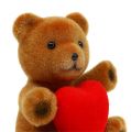 Floristik24 Teddy beflockt 10cm mit Herz 6St