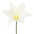 Floristik24 Kunstblume Tigerlilie weiß für Vasen und Gestecke 29cm Bund mit 6St