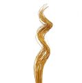 Floristik24 Ting Ting Curly 60cm goldgelb 40St