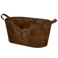 Floristik24 Metallschale oval mit Griffen Hirsch Motiv Rost 36cm